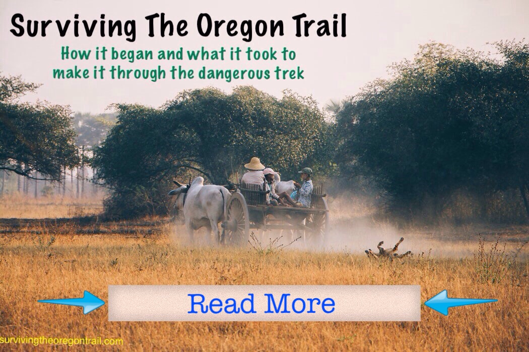 The Oregon Trail Surviving The Oregon Trail